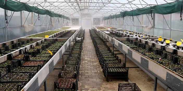 Akçaabat Belediyesi'nden Türkiye Yüzyılı'na üretim desteği