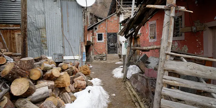 Gümüşhane'nde engelleri aşan yürek! Azim dolu hayvancılık tutkusu
