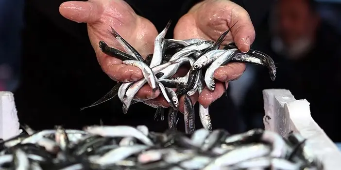 Trabzon nasıl bir yerdir? Trabzon şehri nasıldır? Trabzon'un keşfedilmeyi bekleyen sırları