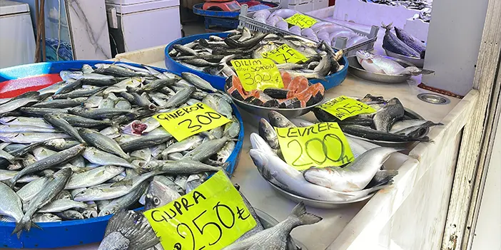 Hamsi avı azaldı tezgahlar istavrite kaldı