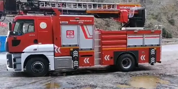 Trabzon'da ayağı ağaca sıkışan kurdu itfaiye kurtardı 