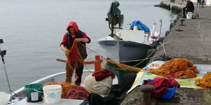 Trabzon'un geçim kaynağı nedir? Trabzon'un topraklarından gelen bereketli miras