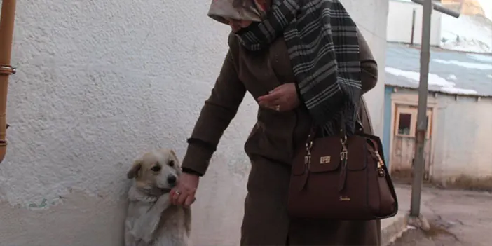 Bayburt'ta 'Çirkin' ismi verilen köpek mahallenin maskotu oldu