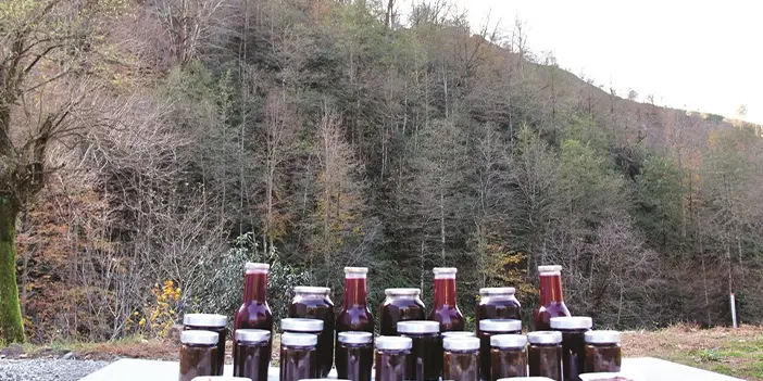 Aşıklar köyü ismini pekmezi ile duyuracak