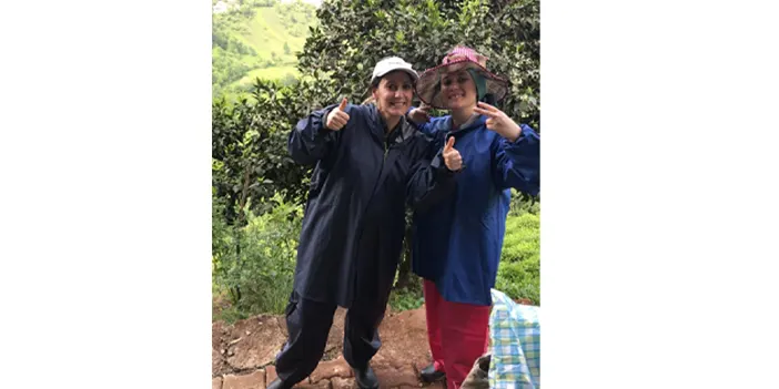 Trabzon'da çay olur mu? Trabzon'da çay yetişiyor mu? Trabzon'da çayın sırları!