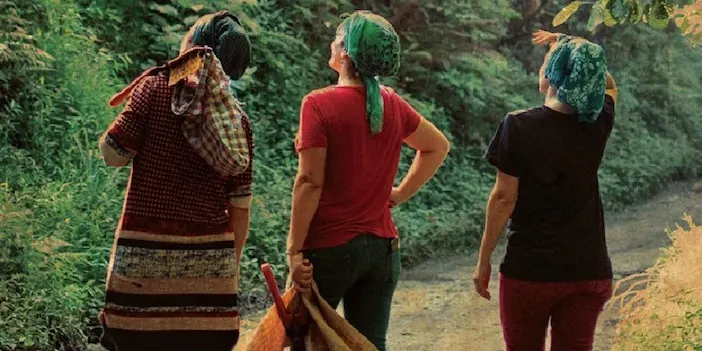 Trabzon'da Laz var mı?