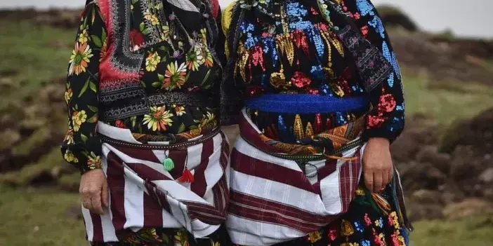 Çepniler hangi illerde yaşamaktadırlar? Çepniler hangi illerde yaşar?