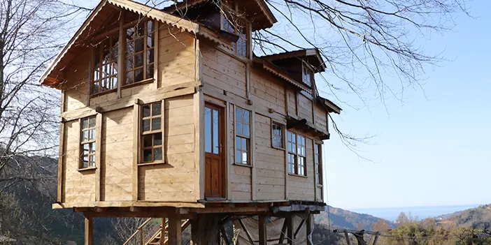 Rize'de 150 yıllık ağacın gövdesine 2+1 ev yaptı