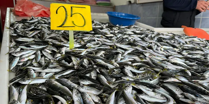 Rize'de istavritin kilosu 25 TL'ye düştü! Tezgahlarda kuyruk oluştu