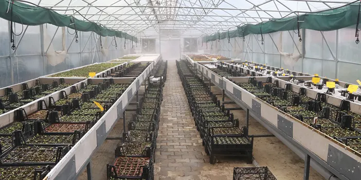 Akçaabat Belediyesi'nden tarımsal kalkınmaya destek