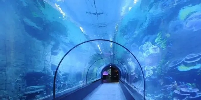 AK Parti Ortahisar İlçe Başkanı Selahattin Çebi "Önemli çalışmalara imza atacağına inanıyoruz"