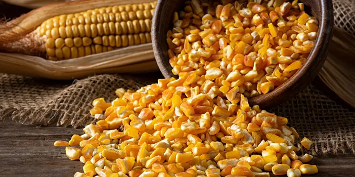 Trabzon'un bereketli toprakları! Trabzon'da en çok ne yetişir?