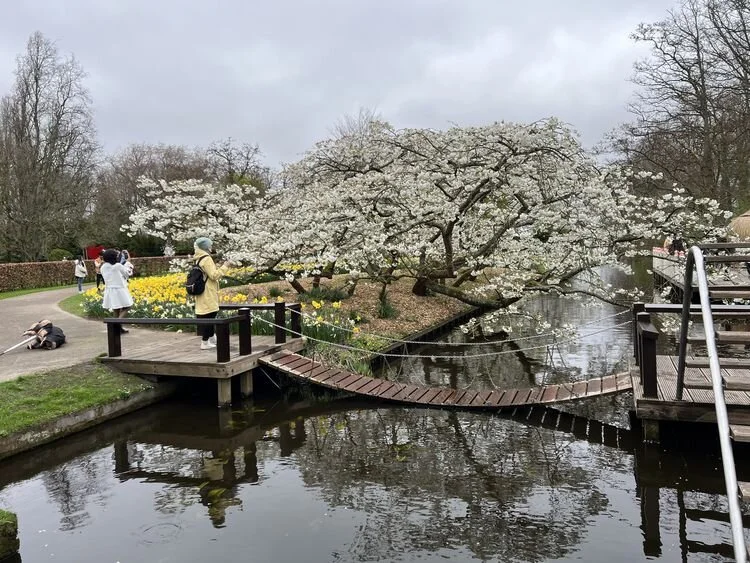 keukenhof-bahcesi-75-yilini-kutluyor-dunyanin-en-buyuk-lale-sergisi-001.webp