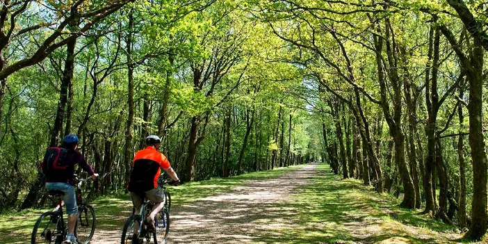 Trabzon'da bisiklet turu için en iyi rota hangisidir? Trabzon'da Bisiklet Turu: En İyi Rotalar ve İpuçları
