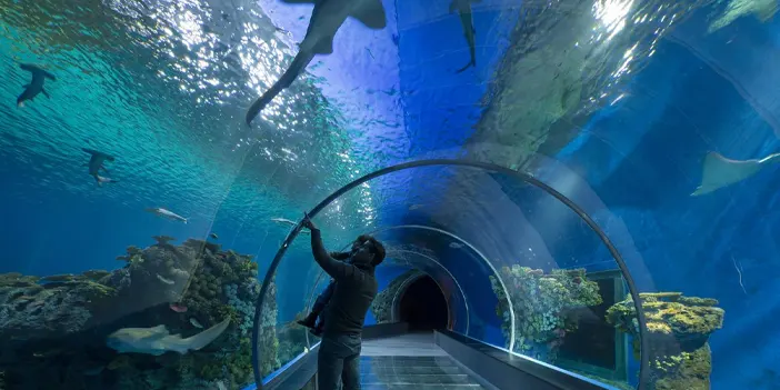 Trabzon'da çocuklarla gezilecek yerler nelerdir? Aileler İçin Trabzon Rehberi