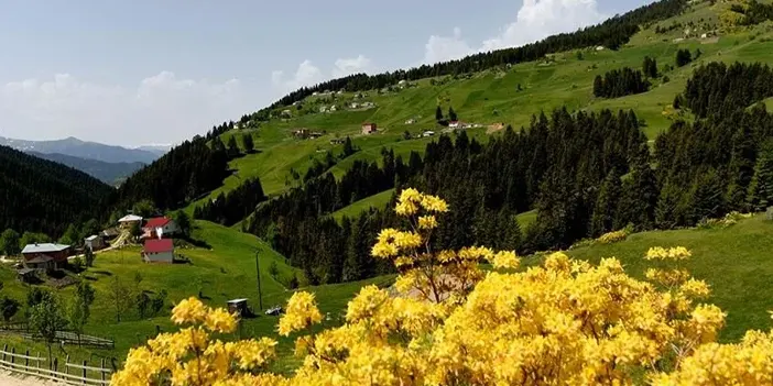 Trabzon'un az bilinen tarihi yerleri nerelerdir? Trabzon'un gizli tarihi