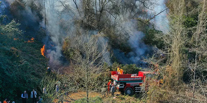 Artvin'de yangın çıktı! 1 kişi gözaltına alındı