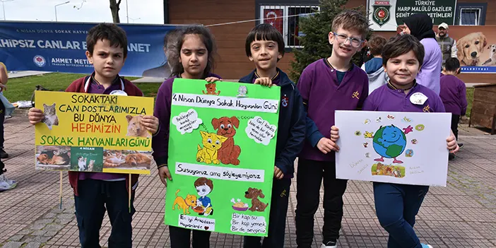 Trabzon'da öğrenciler kedi ve köpek kulübelerini boyadı