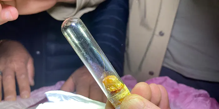 Artvin'de Sakal-ı Şerif ziyarete açıldı