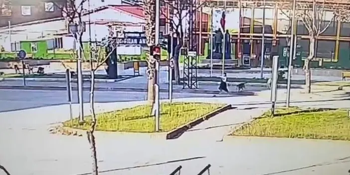 Adana'da sokak köpeklerinin kovaladığı genç kıza araç çarptı! 