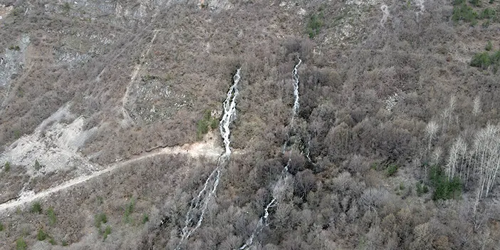 Gümüşhane'de bulunuyorlar! 2 ay akıp kayboluyorlar