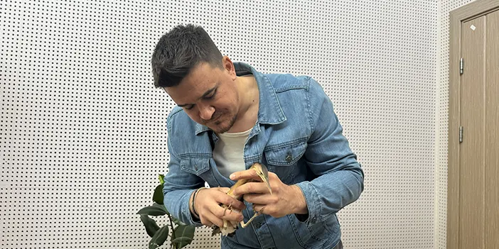 Trabzon'da bulunan balaban kuşu koruma altına alındı 