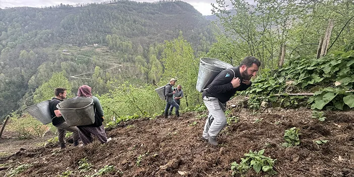 Trabzon'un dik yamaçlarına toprak taşıyarak ekime hazırlıyorlar