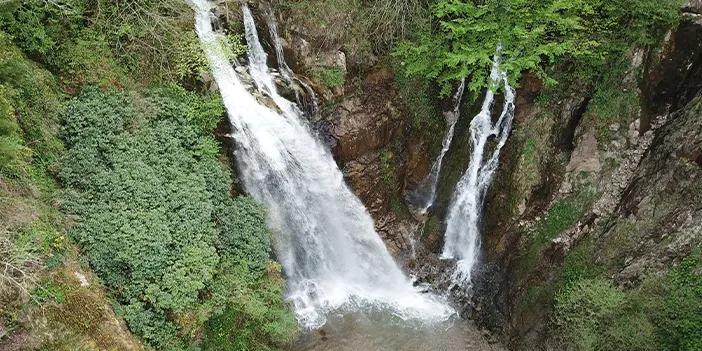 Gümüşhane'de örümcek ormanlarında renk cümbüşü!