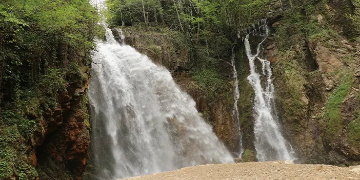 Gümüşhane'de örümcek ormanlarında renk cümbüşü!