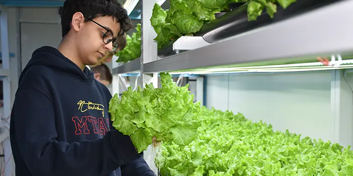 Trabzon'da öğrenciler topraksız tarımla sebze yetiştiriyor 