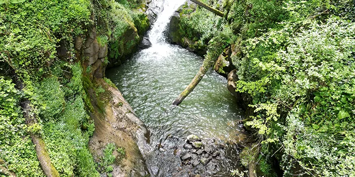 Trabzon'da adına türküler yazılan cennet keşfedilmeyi bekliyor: Ağasar Deresi 