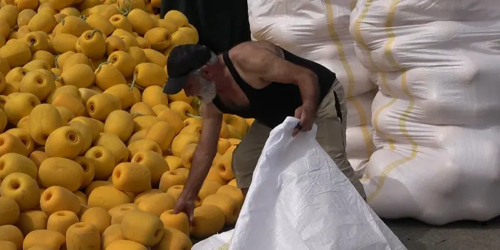 Rizeli balıkçılar ağlarının ve teknelerinin bakımlarını yapmayı sürdürüyor