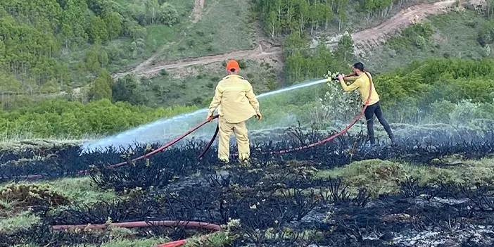 Gümüşhane'de otluk alanda çıkan yangın söndürüldü