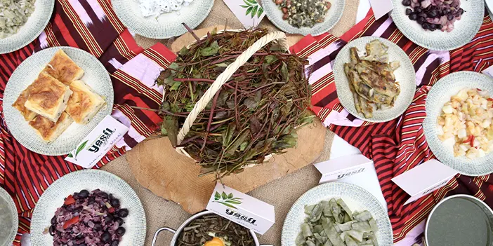 Giresun'un yeşil lezzetleri gastronomi festivali yapıldı