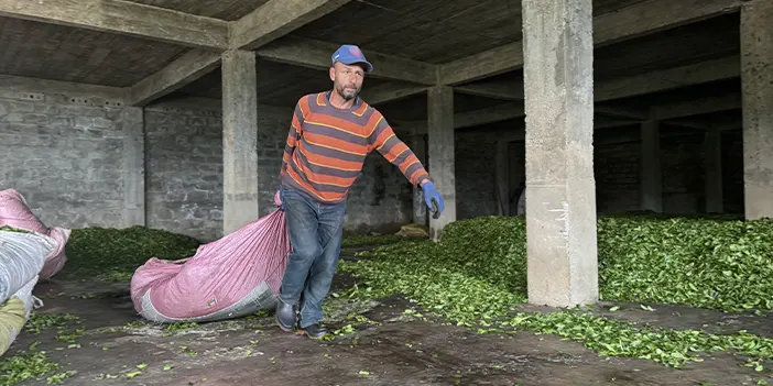 Trabzon'un o ilçesinde "Fadimeler" çeyrek asırdır yük taşımıyor