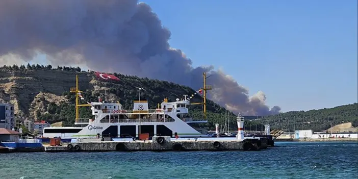Çanakkale'de orman yangını: Boğaz'da gemi trafiği tek yönlü askıya alındı