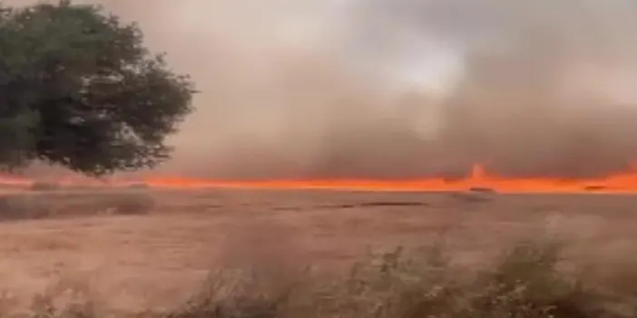 2 ilde alevlerle mücadele devam ediyor!