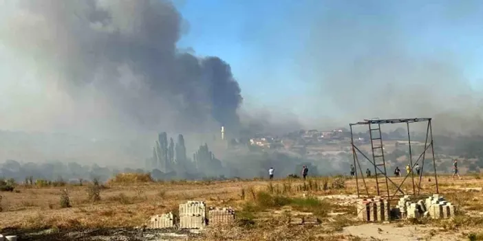 24 saatte kontrol altına alınmıştı! Çanakkale'de yangının ardından acı tablo