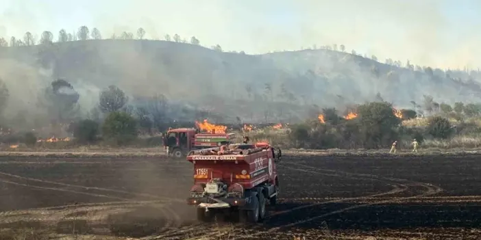 24 saatte kontrol altına alınmıştı! Çanakkale'de yangının ardından acı tablo