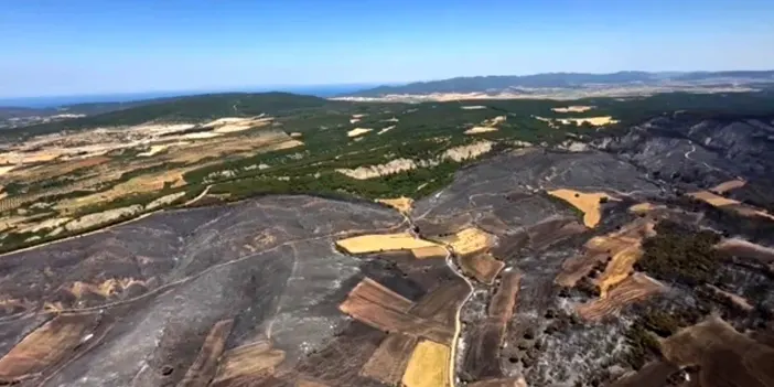 24 saatte kontrol altına alınmıştı! Çanakkale'de yangının ardından acı tablo