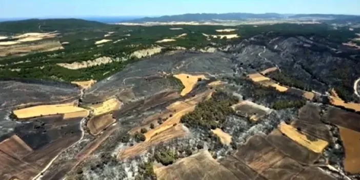24 saatte kontrol altına alınmıştı! Çanakkale'de yangının ardından acı tablo