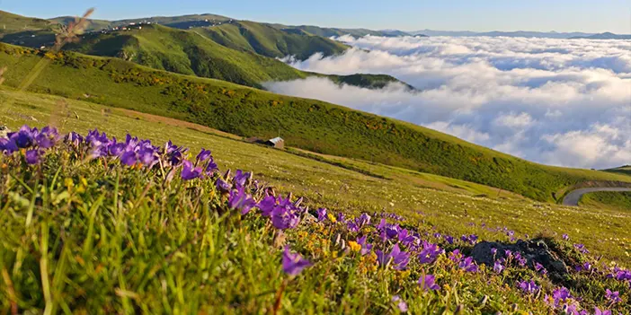bu-yayla-buyuluyor-1.webp