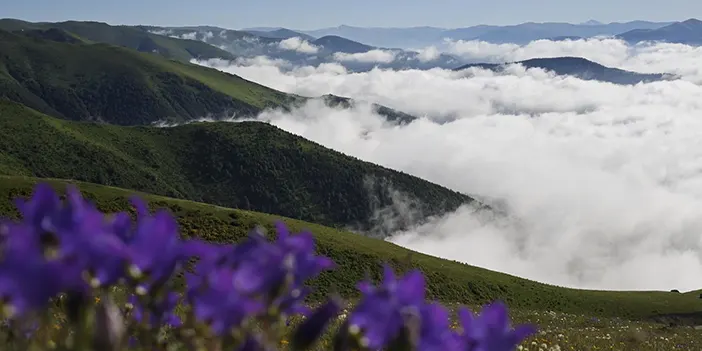bu-yayla-buyuluyor-2.webp