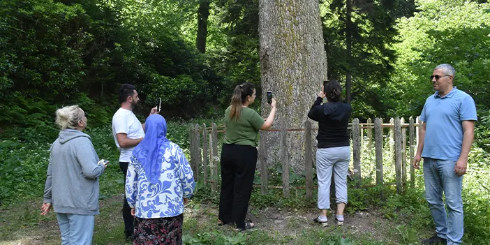 Gümüşhane'de Örümcek Ormanları ziyaretçilerine doymuyor