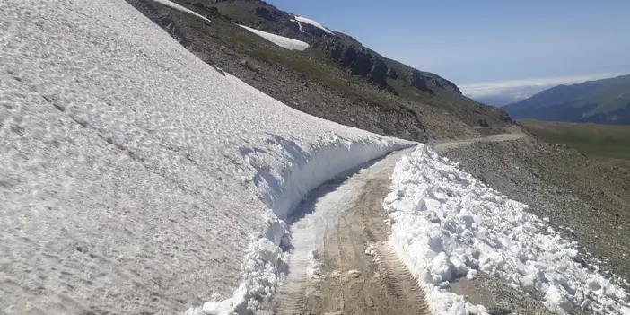 Trabzon'da yayla yollarındaki sorunlara neşter vuruluyor