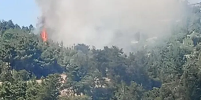denizlide-orman-yangini-yurekler-agza-geldi.webp