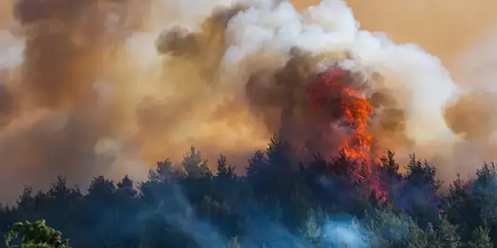 İzmir'de yangınlar kontrol altına alındı! 