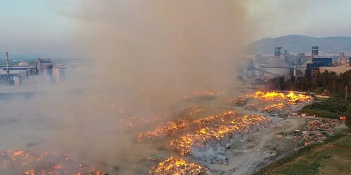Aydın'da kağıt fabrikası küle döndü!