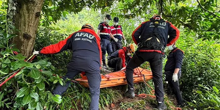 Rize'de acı olay! Cansız bedeni çay bahçesinde bulundu