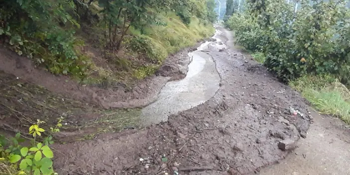 Başkan Kaya: "Sağanakta can kaybı yok, ekiplerimiz görevde"